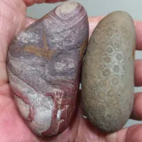 سنگ فسیل و جاسپر زیبا.