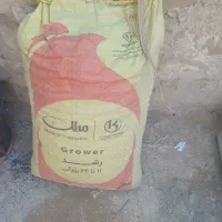 سه گونی زغال