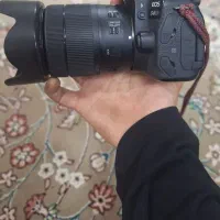 80D canon دوربین|دوربین عکاسی و فیلم‌برداری|یزد, |دیوار