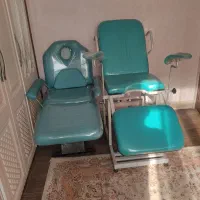 تخت ژینکو لوژی وزیبایی