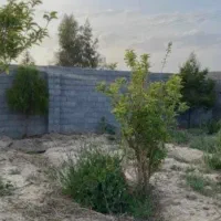 زمین-چهار-دیواری