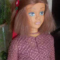 عروسک|اسباب‌‌بازی|پردیس, فاز ۳|دیوار