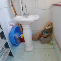 روشویی سرویس بهداشتی|لوازم سرویس بهداشتی|سهند, |دیوار