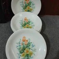 ملامین های زیبا|ظروف سرو و پذیرایی|رشت, جانبازان|دیوار