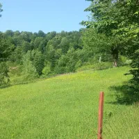 فروش فوری زمین مسکونی|فروش زمین و ملک کلنگی|بره‌سر, |دیوار