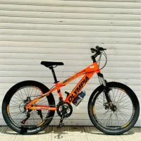 شهبازدوچرخ اقساطی بدون پیش پرداخت(قم توحید16)|دوچرخه، اسکیت، اسکوتر|ساوه, |دیوار