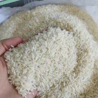 برنج مَمان میانه و حصارمشپا و علی کاظمی (امسال)|خوردنی و آشامیدنی|زنجان, |دیوار