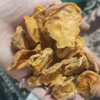 قیسی