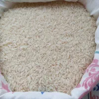 برنج فجرپاییزه گرگان به شرط