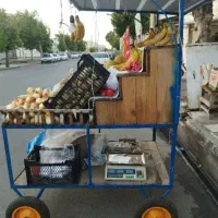 گاری|فروشگاه و مغازه|گنبد کاووس, |دیوار