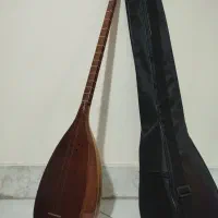 تنبور با کیف