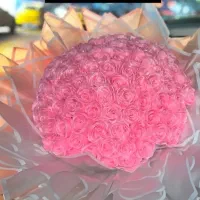 گل  پینترسی|گل مصنوعی|کرمانشاه, |دیوار