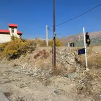 زمین ارنگه سبز