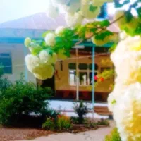 پرستار سالمند سرایه دار
