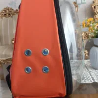 کوله حمل پرنده|لوازم جانبی حیوانات|مشهد, احمدآباد|دیوار