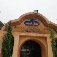 استخدام نیروی کار