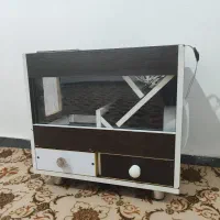 پرنده عروس مرغ عشق