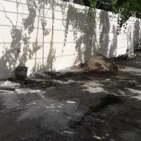 سیمان کاری ونرمه وچمچه تگری