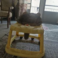 روروکبچه