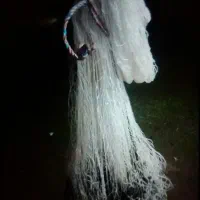 طور سالی یا ماشک