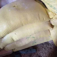 جو دیم|خوردنی و آشامیدنی|بیرانوند, |دیوار