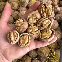 گردو خوش طعم تازه برداشت امسال شهر تویسرکان|خوردنی و آشامیدنی|تهران, گلچین|دیوار