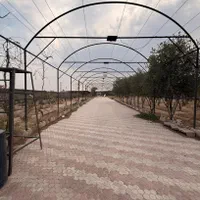 ویلاباغ۵ هزارمتری دنج محمد آباد بر خیابان