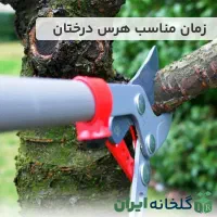 نیازمنددوعدد نیروی جوان وکشاورز