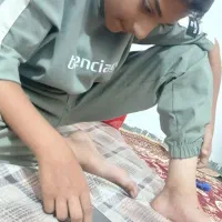 شانپانزه ی سیاه