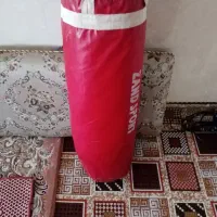 کیسه بوکش