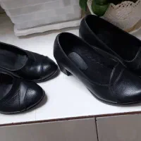 کفش|کیف، کفش، کمربند|فسا, |دیوار