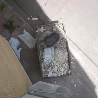 تخریب بازسازی سرامیک لوله کشی تک و پنج لایه  بنایی|خدمات پیشه و مهارت|مشهد, دانشجو|دیوار