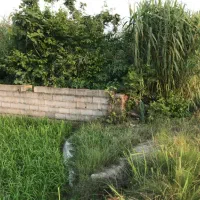 باغ ۴۰۰۰متر چسبیده به بافت با جواز گلخانه