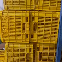 سبد مادر|ظروف نگهدارنده، پلاستیکی، یک‌بارمصرف|محمدشهر, زیبادشت|دیوار