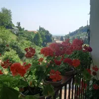 ویلا سوئیت