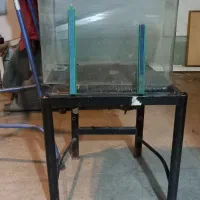 اکواریوم