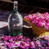 تور گلاب گیری کاشان ، نیاسر