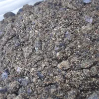 کنجالهجایگزینسویا|عمدهفروشی|کاشان, حسن آباد|دیوار