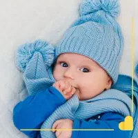 شیردوش برقی بهترین برندها تحویل درمحل رایگان