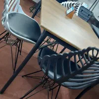 صندلی‌پشت فانتزی|میز و صندلی غذاخوری|حمیدیا, |دیوار