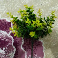 آکواریوم|ماهی|میانه, |دیوار