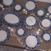 ظروف پذیرایی