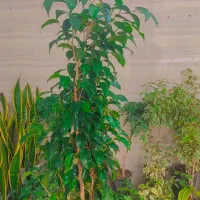 حراج واقعی همه مدل های این آگهی فقط وفقط ۱۹۵تومان