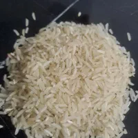 برنج فجر ۹۰ روزه