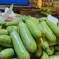 پخش عمده میوه وتره بار|خوردنی و آشامیدنی|تهران, خانی آباد نو جنوبی|دیوار