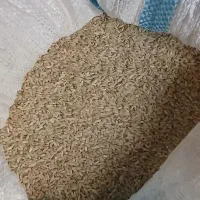 برنج چمپا|خوردنی و آشامیدنی|چیتاب, |دیوار