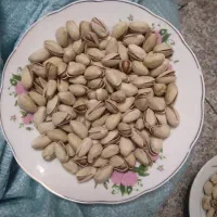 پسته خشک دامغان|حراج|تهران, شادمان|دیوار