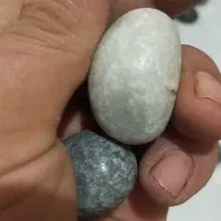 گوهر