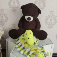 دو عدد عروسک هزار پا 2متر خرس 1 متر