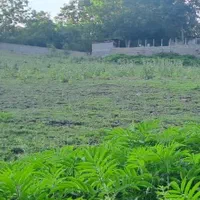 زمین متراژ بالا با ویو عالی در گیلان|فروش زمین و ملک کلنگی|رشت, بازار|دیوار